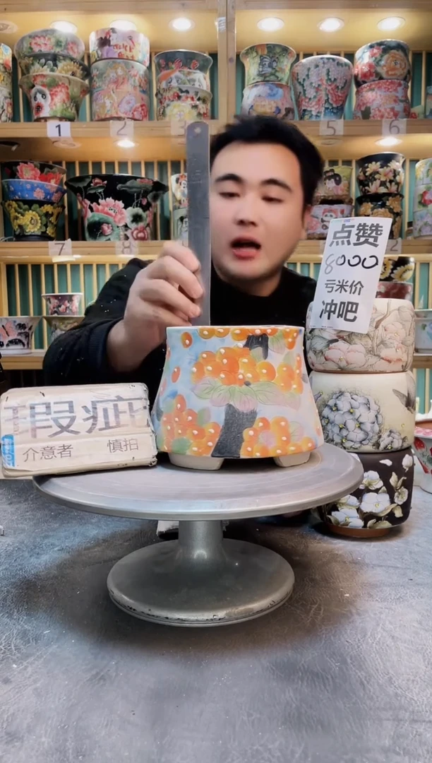 瓷片默认微瑕一物一拍1127-0881