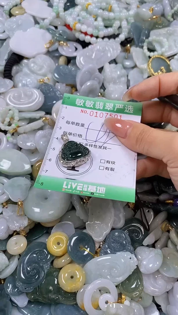 【闪购商品】翡翠颈饰未镶嵌闪购0107501