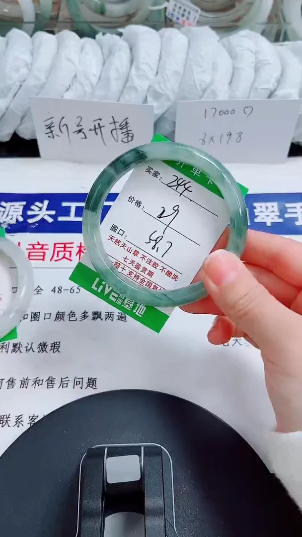未镶嵌手镯石英质玉244-58/59