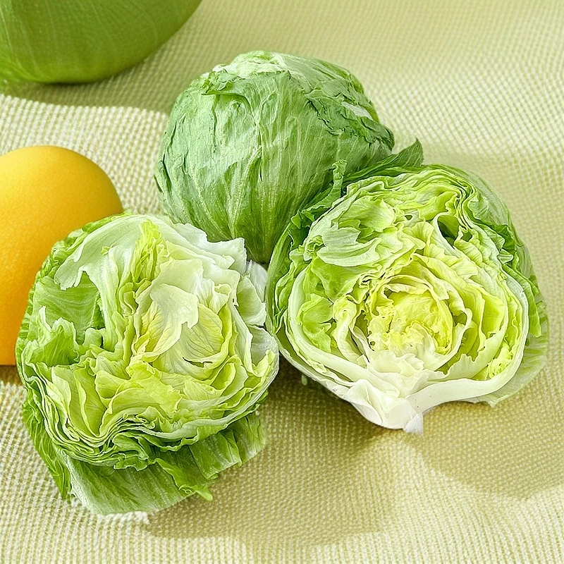 忞鲲球生菜新鲜蔬菜三明治汉堡用沙拉食材圆生菜球型西生菜