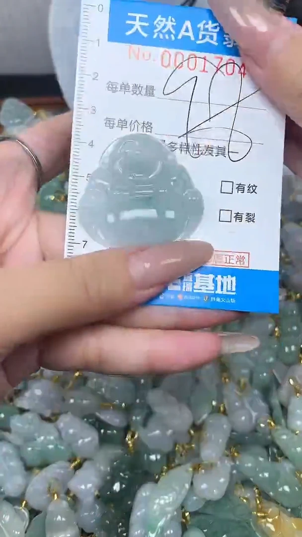 翡翠未镶嵌颈饰净货挂件-1704