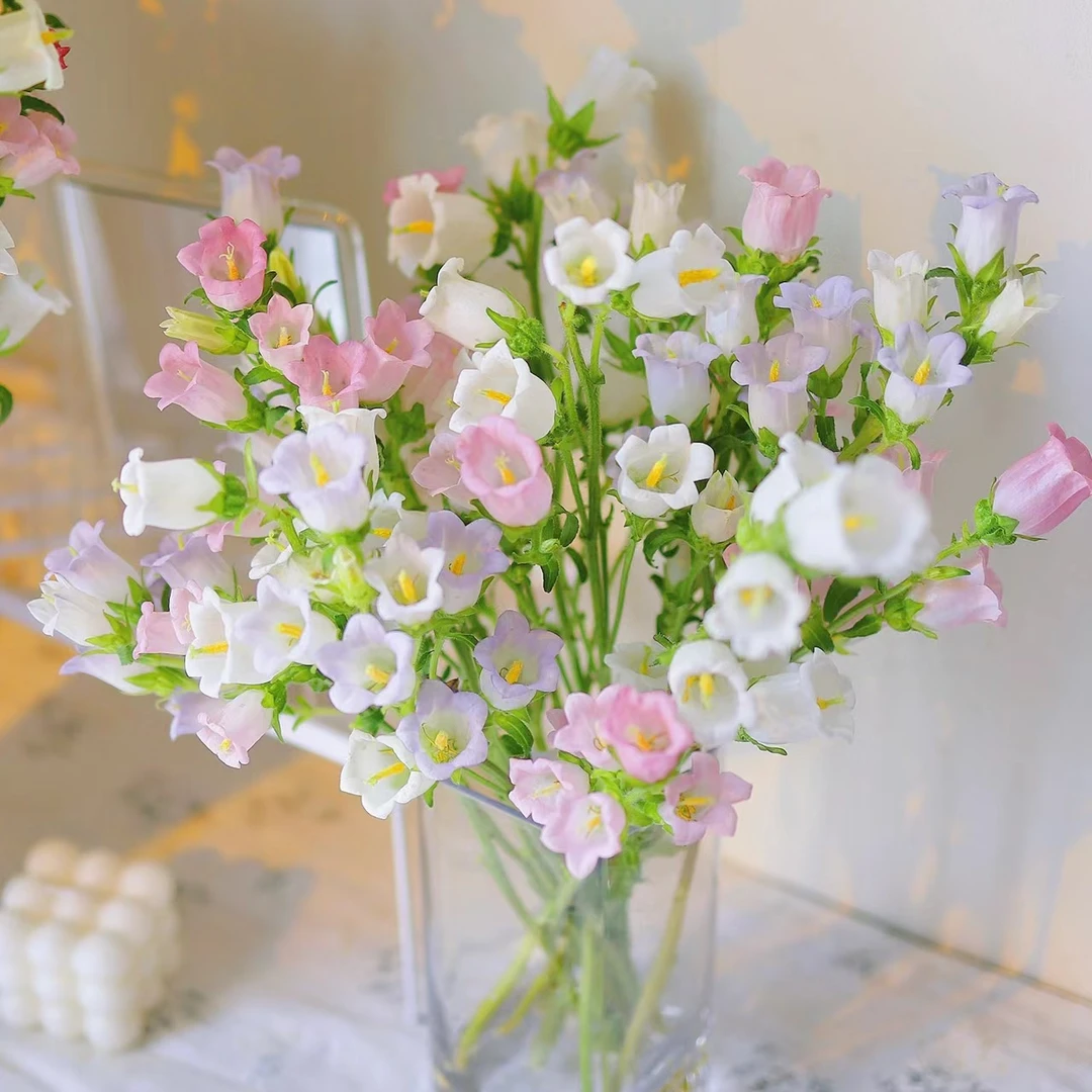 【风铃花】顺丰包邮云南A级鲜花家用鲜花云南新鲜鲜花昆明鲜花直发