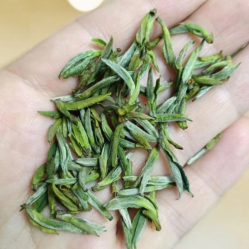 2024新茶明前黄芽一级明前嫩芽春茶安徽茶叶手工黄茶板栗香兰花香