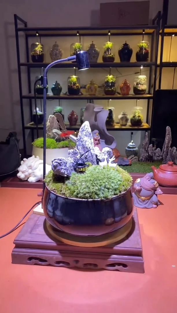 吉鑫福利精选福力