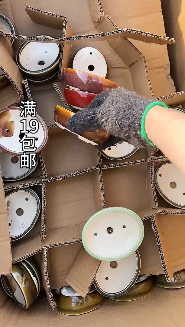 龙***景64号20个微瑕的