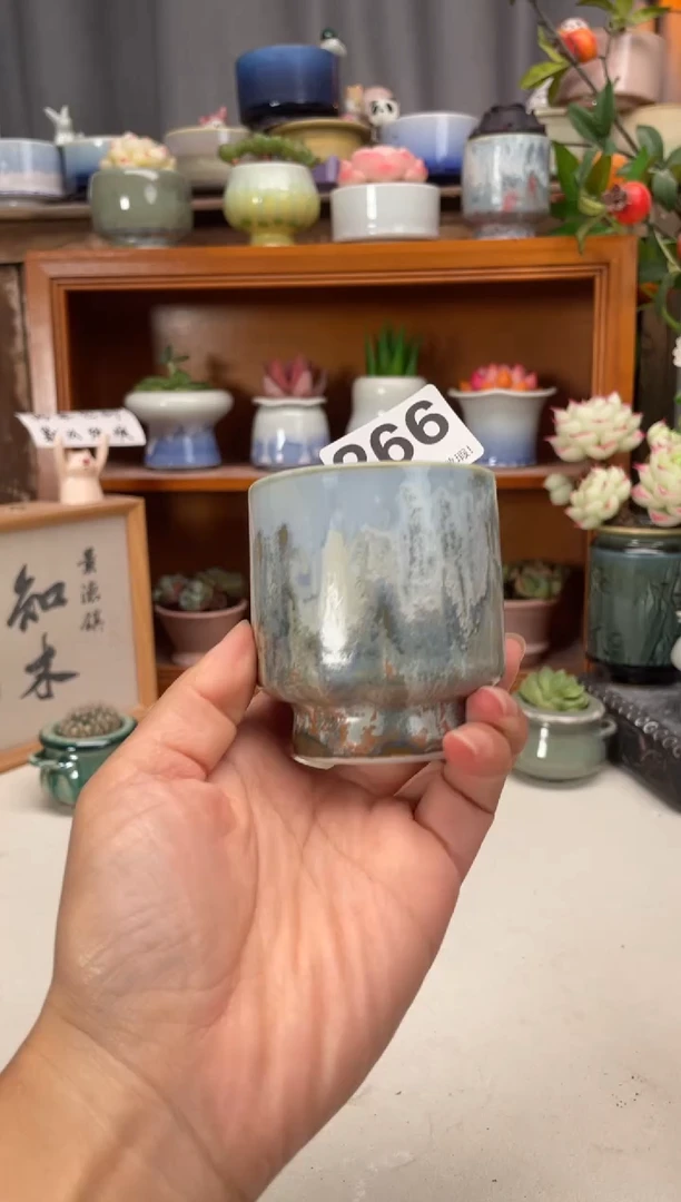瓷片266知木小芳花盆