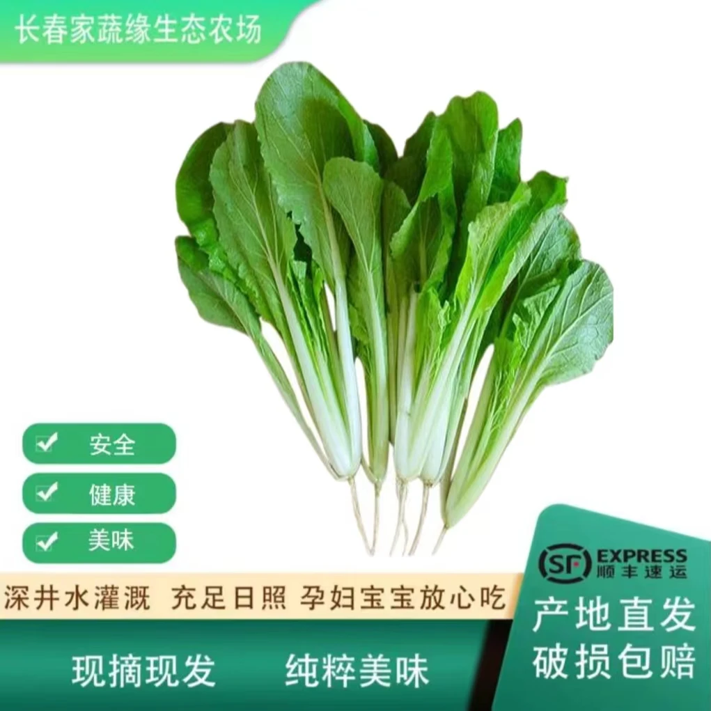 【家蔬缘自产】小白菜  美味安全生态农场种植