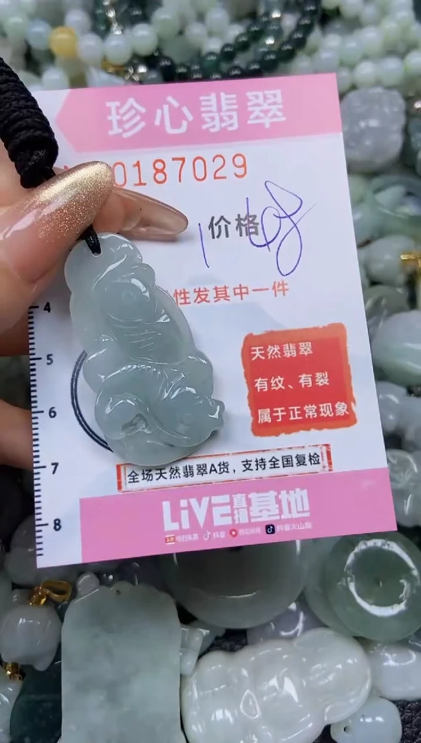 翡翠未镶嵌颈饰闪购链接0187029