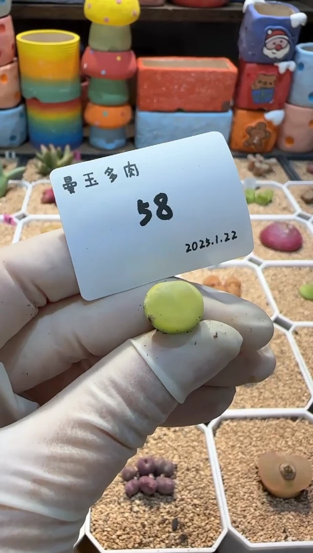 【闪购商品】25.1.22-58