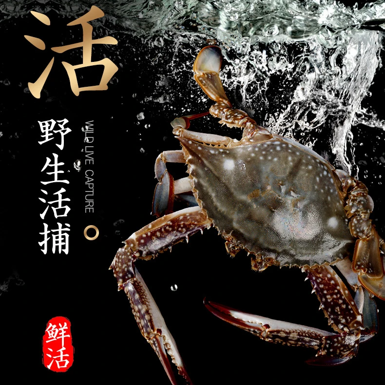 鲜活到家 梭子蟹 500g（2-3只带皮筋）两【保鲜不保活】