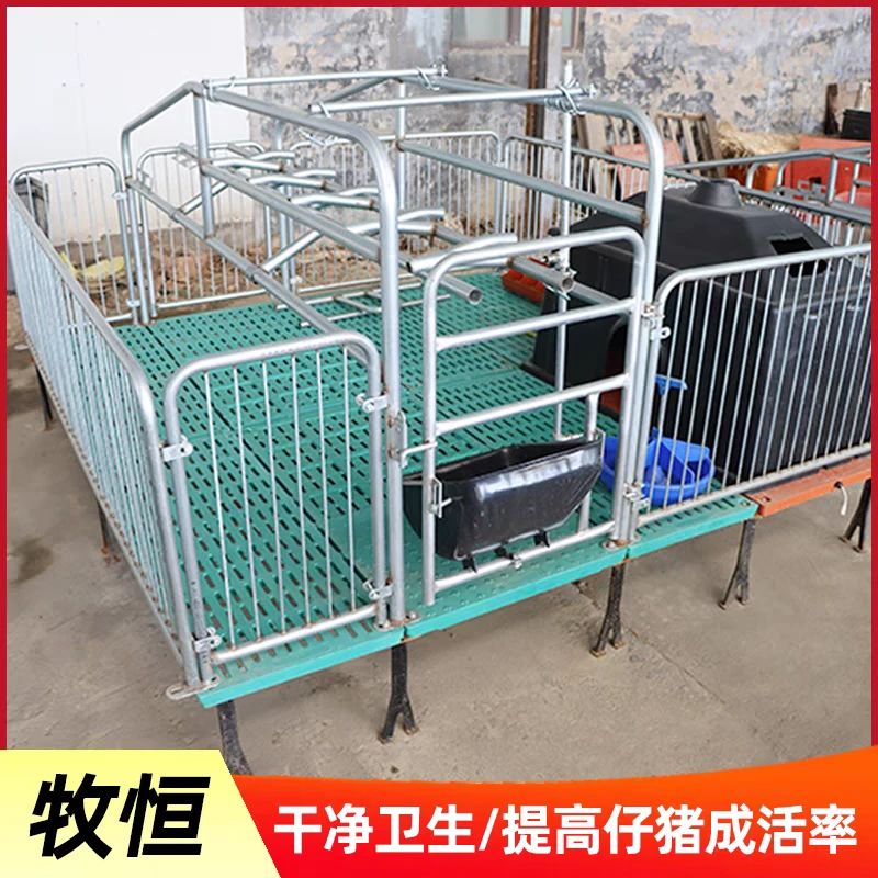 加厚镀锌母猪产床分娩保育一体床养殖设备专用漏粪板