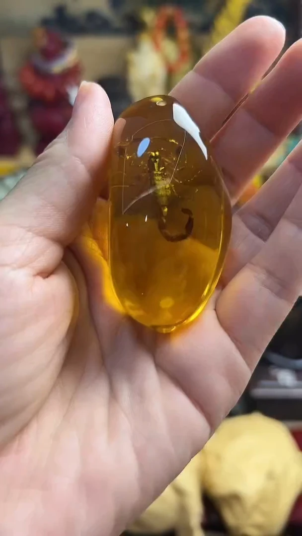 裸石琥珀未镶嵌主播推荐主播推荐