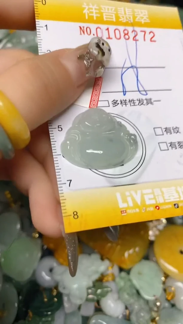 【闪购商品】翡翠颈饰未镶嵌闪购0108272