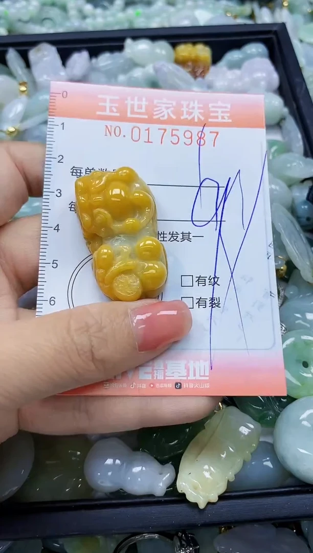 【闪购商品】翡翠颈饰未镶嵌闪购商品00175987