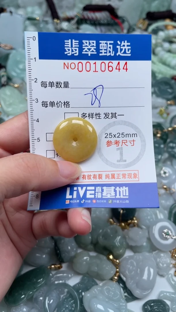 颈饰未镶嵌翡翠10644