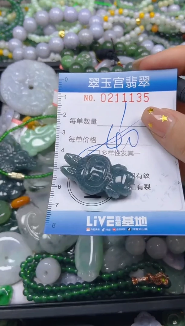 颈饰未镶嵌翡翠灵*闪购C0211135多样性发其一