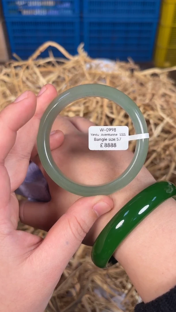 未镶嵌手镯石英质玉W0998