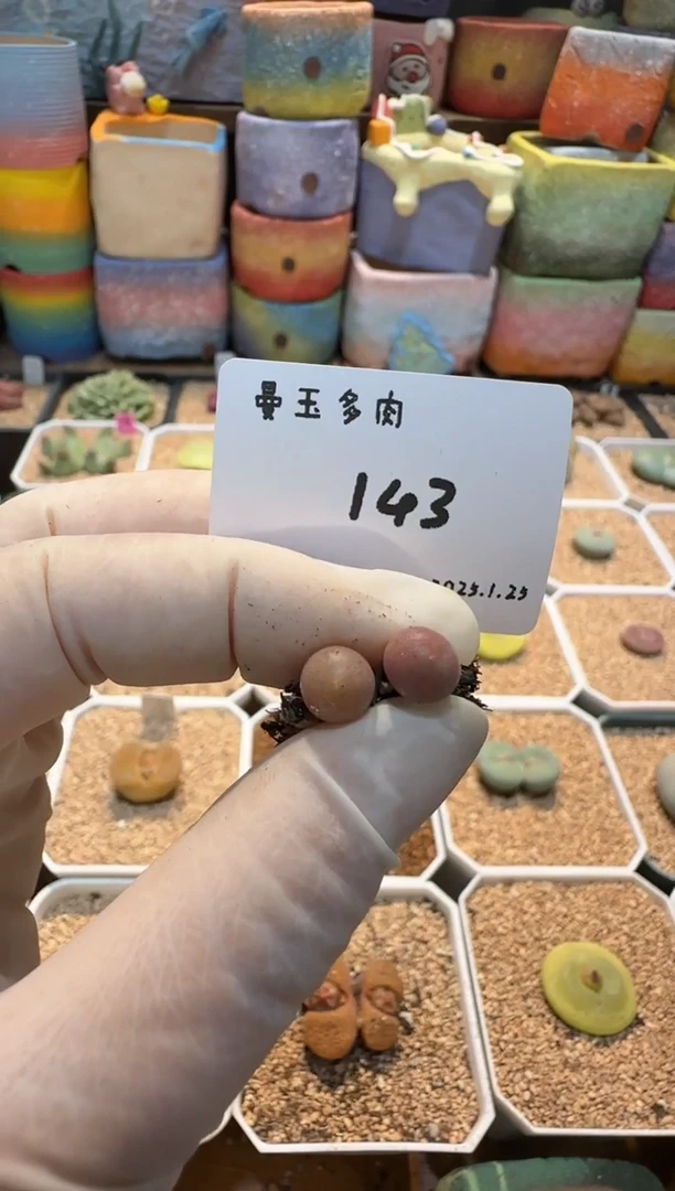 【闪购商品】25.1.25-143李别买