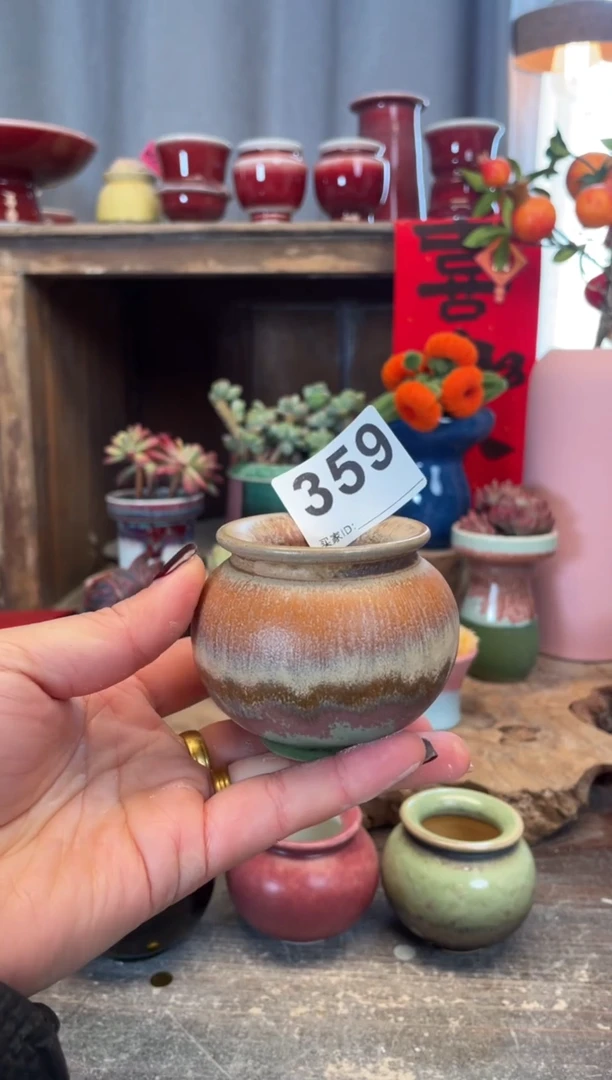 【闪购商品】摆件359知木小芳花盆