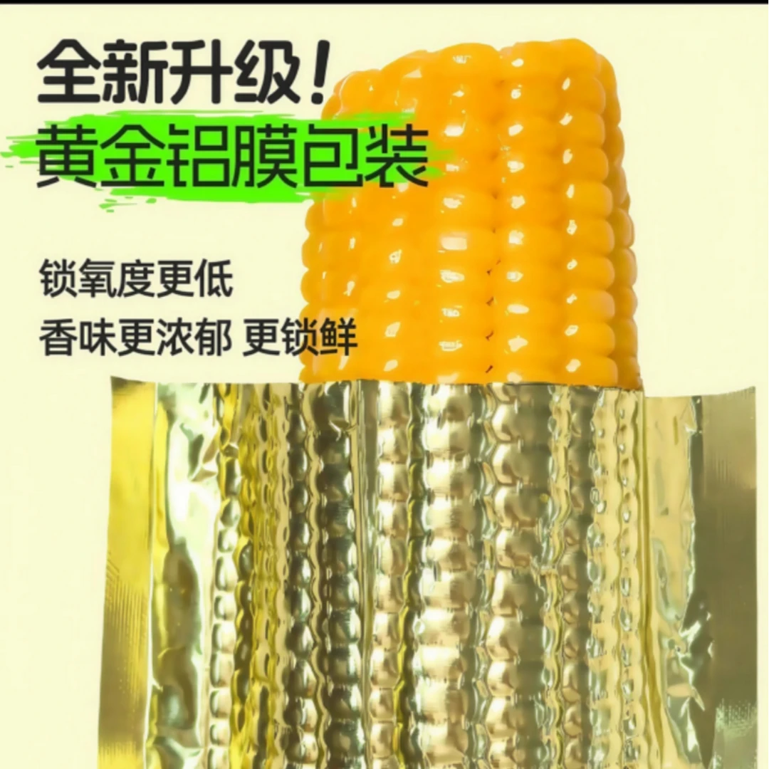 25年新东北黄糯玉米260g*10根 铝箔真空独立包装（试吃2根）