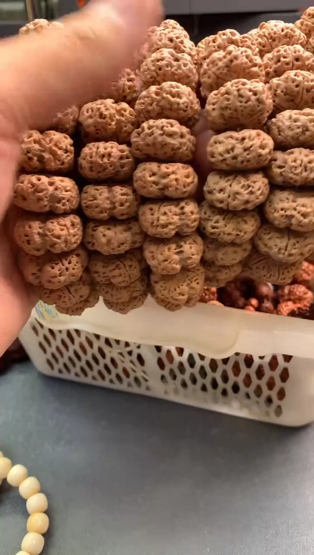 金刚菩提手串681