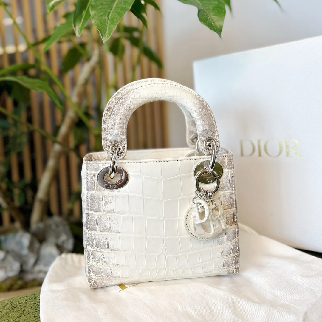 99新 DIOR/迪奥 老佛爷 喜马拉雅稀有皮戴妃珐琅扣手提包