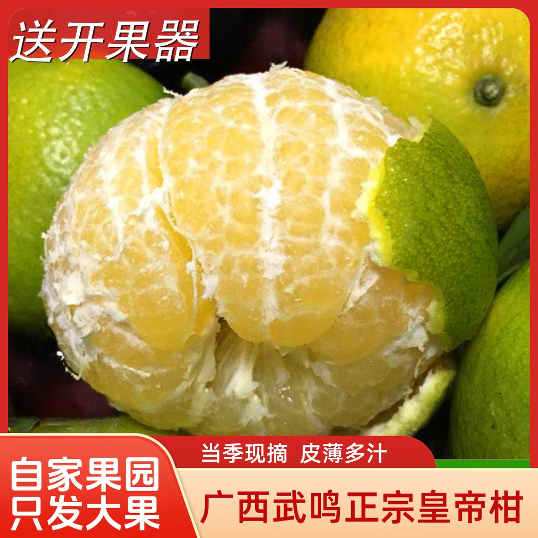 正宗广西武鸣皇帝柑新鲜橘子水果当季现摘蜜桔子贡柑一级大果包邮