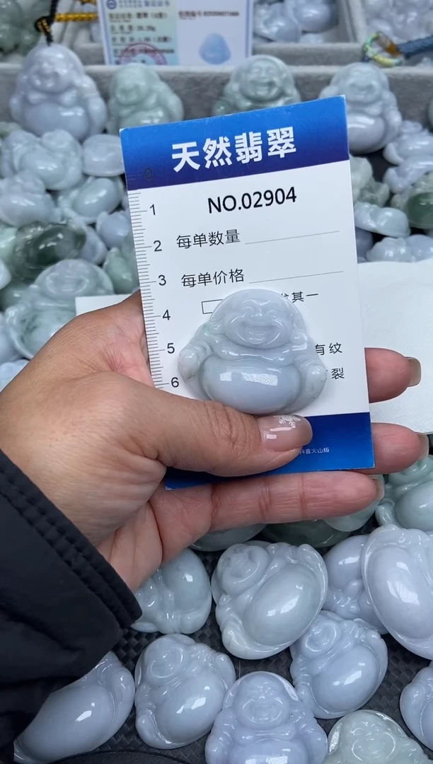 颈饰未镶嵌翡翠纯天然A货翡翠2904