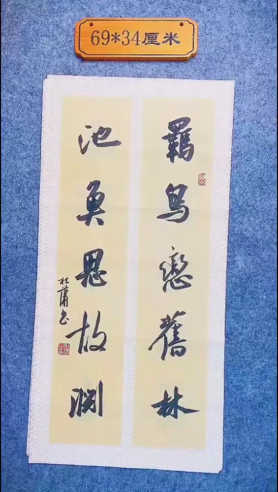 书法105中书协 杜潇书法放漏