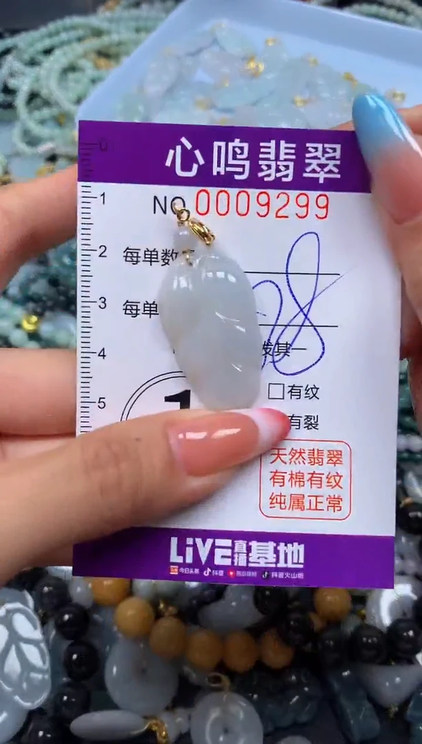 翡翠未镶嵌颈饰闪购009299