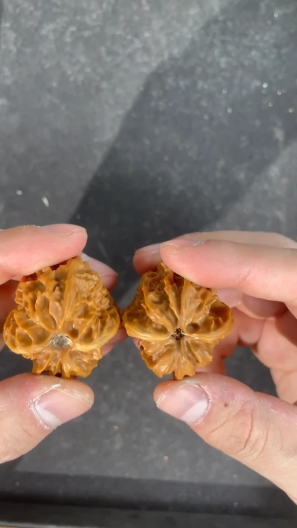 【闪购商品】文玩核桃把件36全品曹大龙