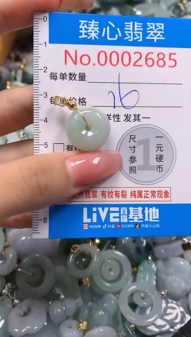 翡翠未镶嵌颈饰2685