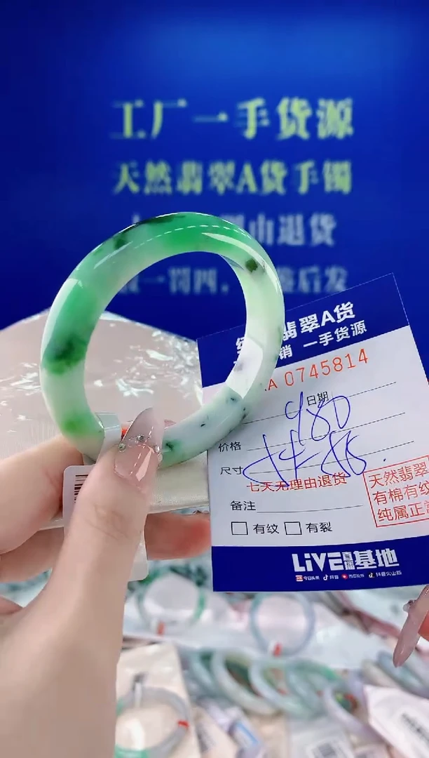 未镶嵌手镯翡翠14