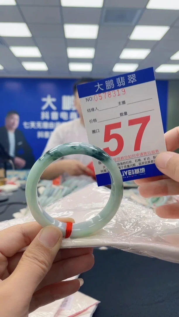未镶嵌手镯翡翠AAAAAAAAAA