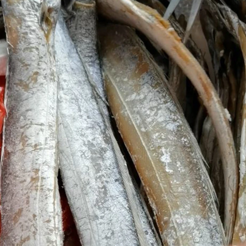 舟山东海渔场特产整条风带鱼小眼睛福利品去尾去内脏 6两以上/条