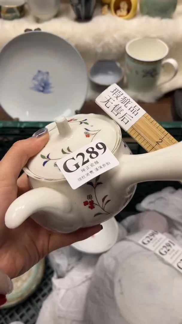 【闪购商品】瓷片          G289