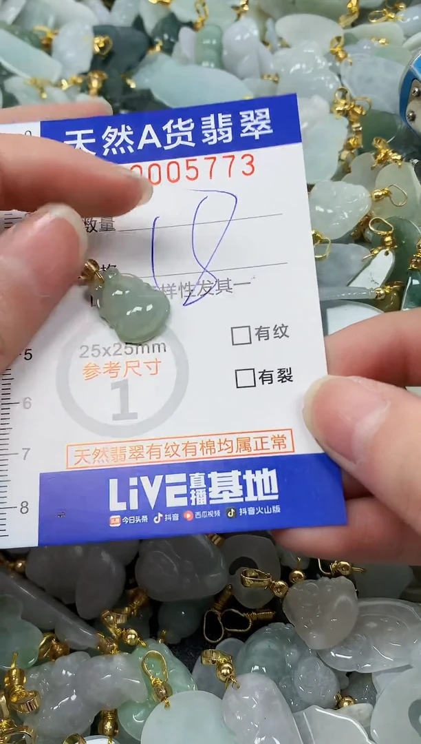 颈饰未镶嵌翡翠纯天然a货翡翠