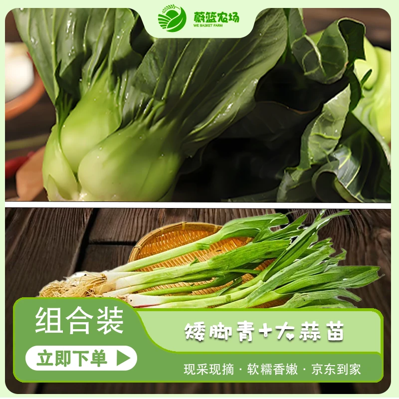 【本地组合】上海本地特色矮脚青+大蒜叶组合