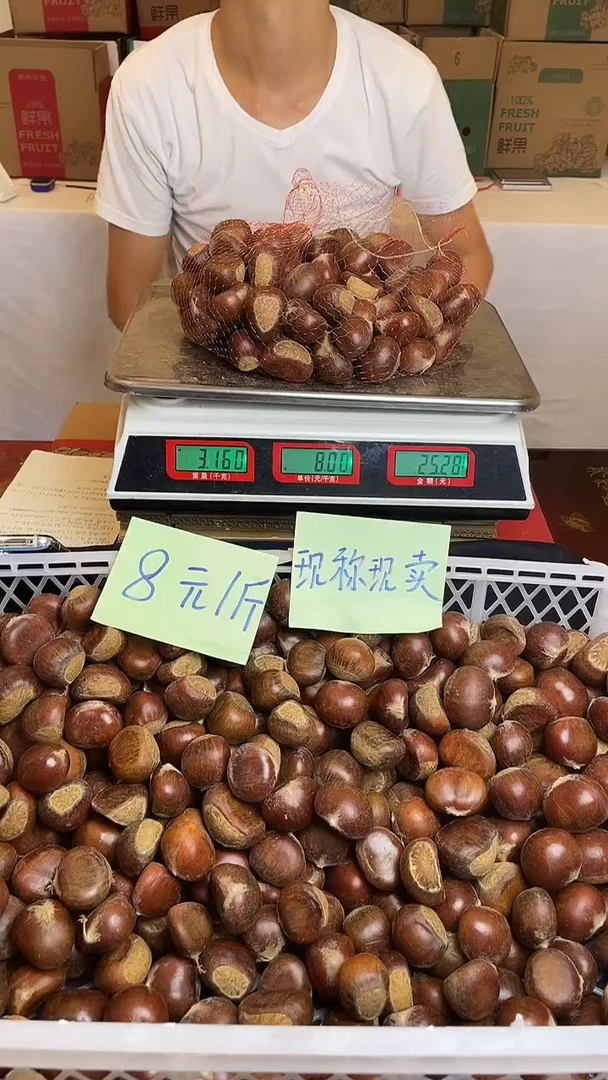 云南高山老树板栗中国大陆3斤