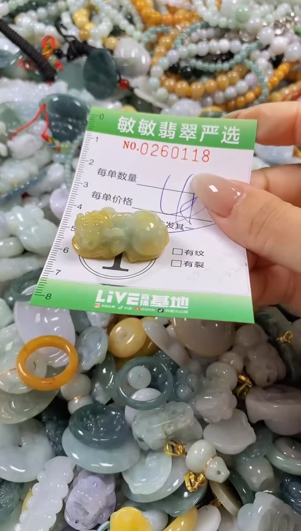 翡翠未镶嵌颈饰闪购0260118多样性发其一