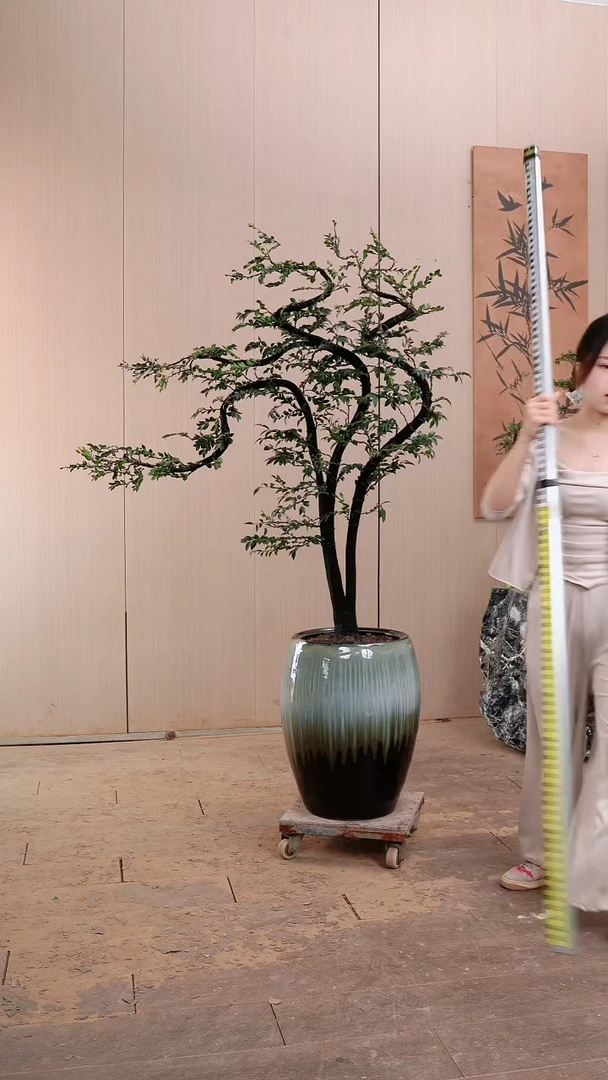 【闪购商品】广东小叶紫檀黑骨茶