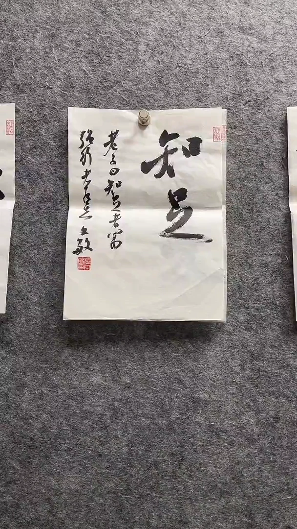 书法张文敏老师作品小品