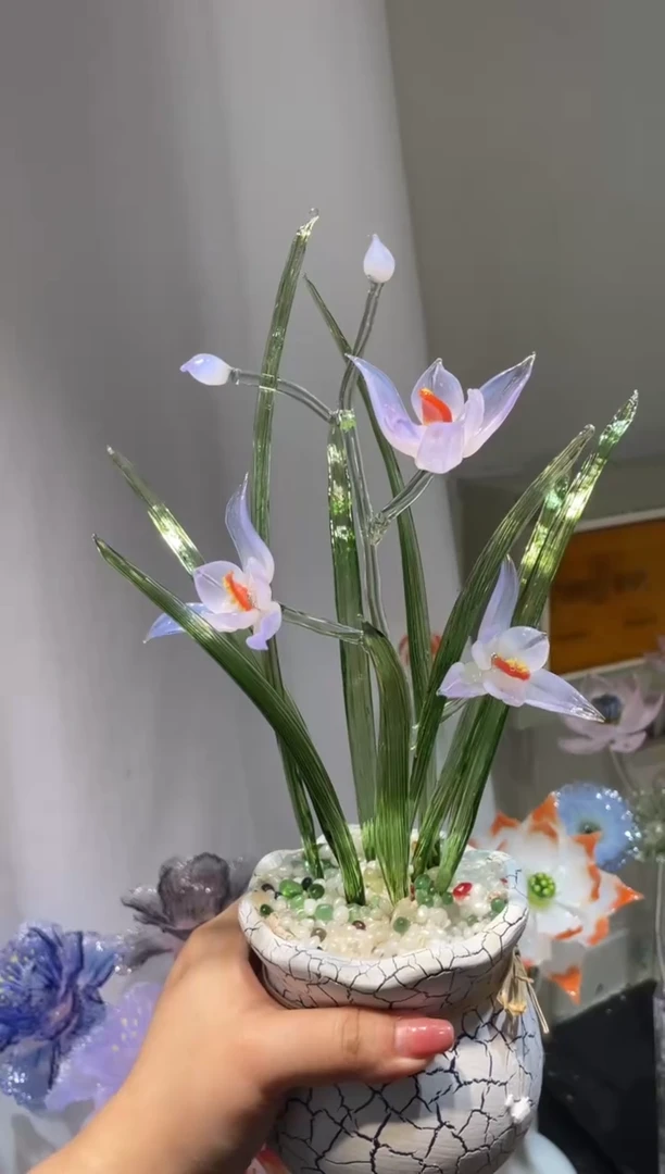 琉璃51兰花