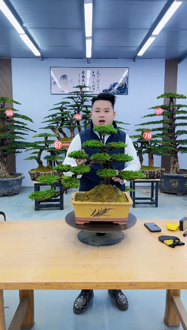 以实际为准00000000