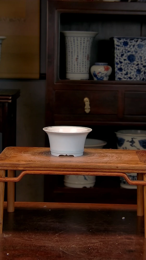 【闪购商品】红陶1