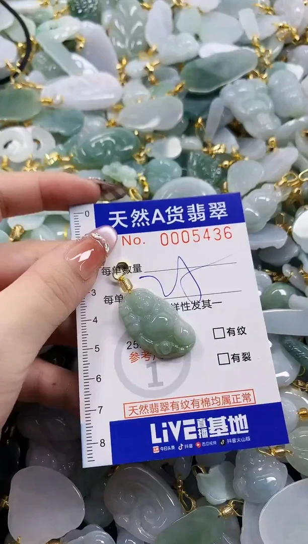 颈饰未镶嵌翡翠天然A货翡翠