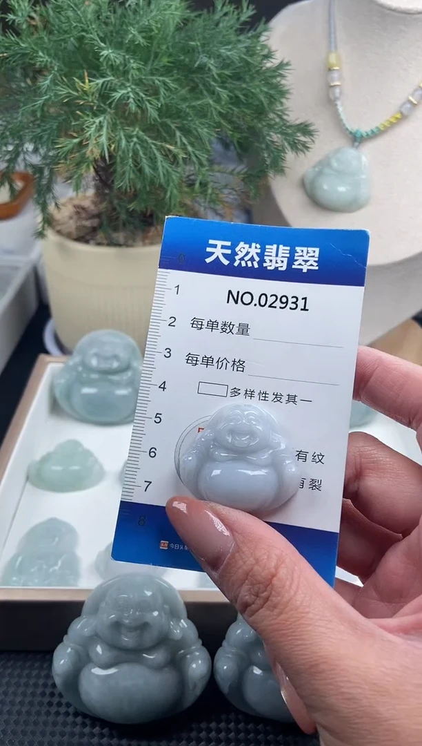 颈饰未镶嵌翡翠纯天然A货翡翠2931