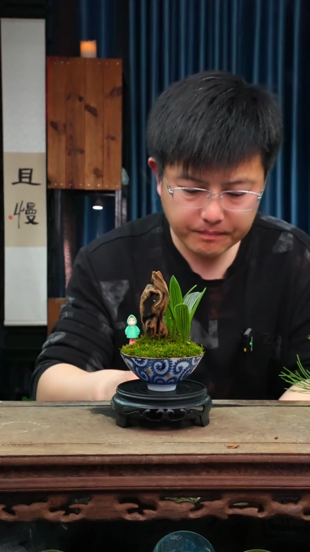 苔藓微景观456号