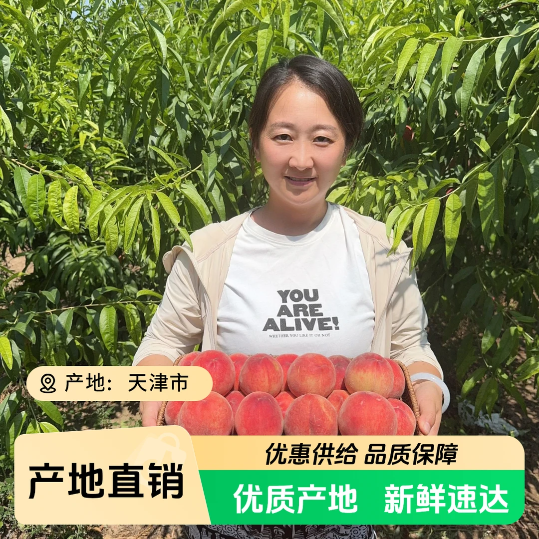 【众旺农场】水蜜桃 新鲜现摘 1/4斤（±2两）顺丰包邮 送货上门天津市