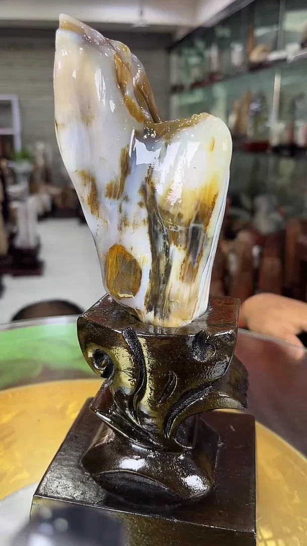 硅化玉珠宝奇石未镶嵌缅甸天然树化玉摆件